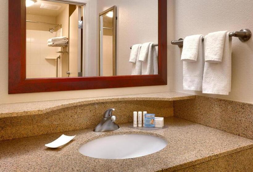 Студио Стандарт Кровать Кинг, Springhill Suites Thatcher