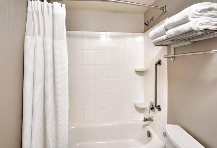 Студия Deluxe, Springhill Suites Thatcher