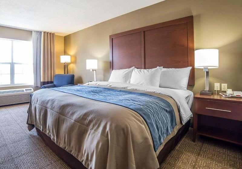 キングサイズベッドのスタンダードルーム, Comfort Inn Saint George North