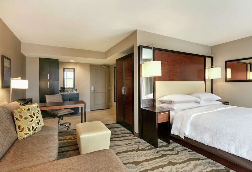 Studio Standard Lit Double, Embassy Suites Chattanooga / Hamilton Place