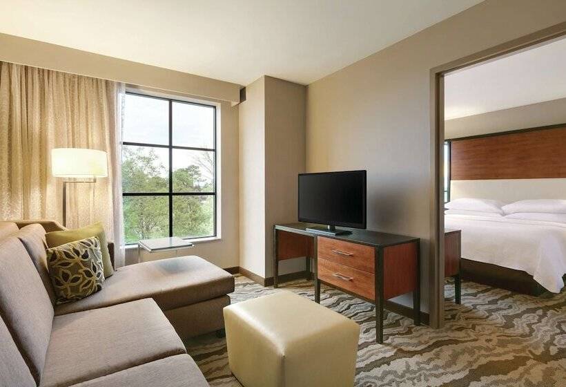 Suite, Embassy Suites Chattanooga / Hamilton Place