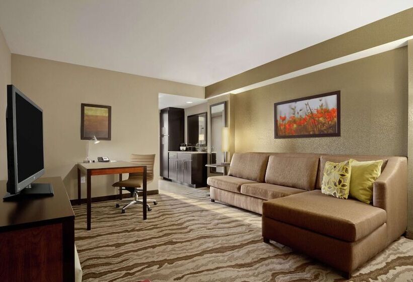 Suite Adaptée aux Personnes à Mobilité Réduite, Embassy Suites Chattanooga / Hamilton Place