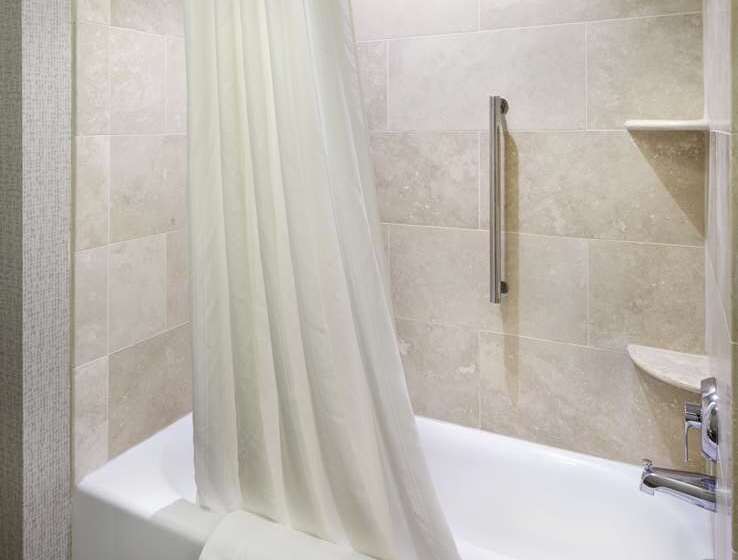 Suite Lit King, Embassy Suites Chattanooga / Hamilton Place