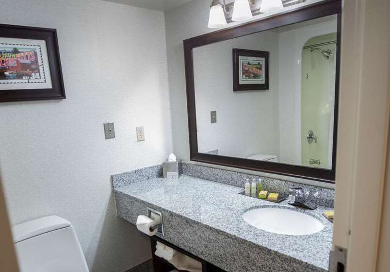 Suite Lit King, Embassy Suites Chattanooga / Hamilton Place
