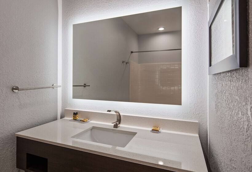 סוויטה מותאמת לאדם עם מוגבלויות, Best Western Plus Appleton Airport Mall