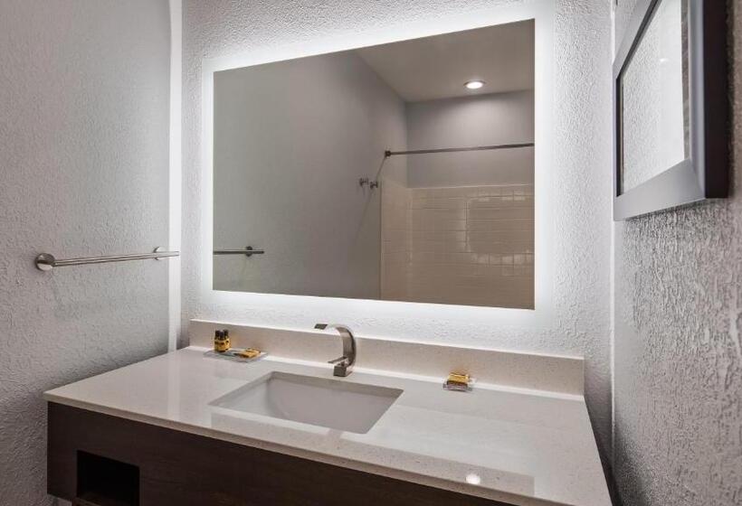 חדר סטנדרט עם מיטת קינג, Best Western Plus Appleton Airport Mall