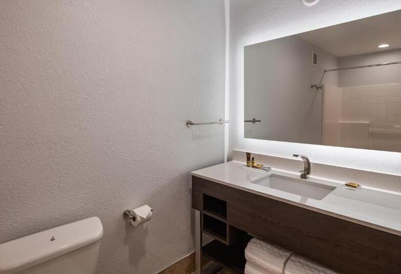 מיטת קינג בסוויטה, Best Western Plus Appleton Airport Mall