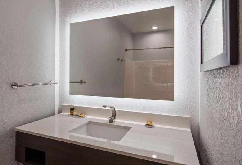 장애인을 위한 스탠다드 룸, Best Western Plus Appleton Airport Mall