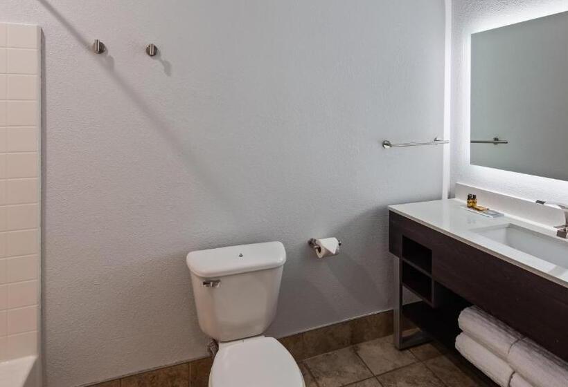 סוויטה משפחתית, Best Western Plus Appleton Airport Mall