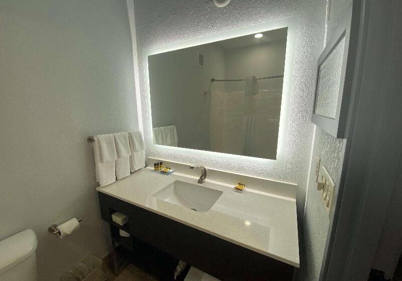 חדר סטנדרט עם מיטת קינג, Best Western Plus Appleton Airport Mall
