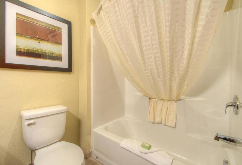 Номер Стандарт, Cobblestone Inn & Suites   Holyoke