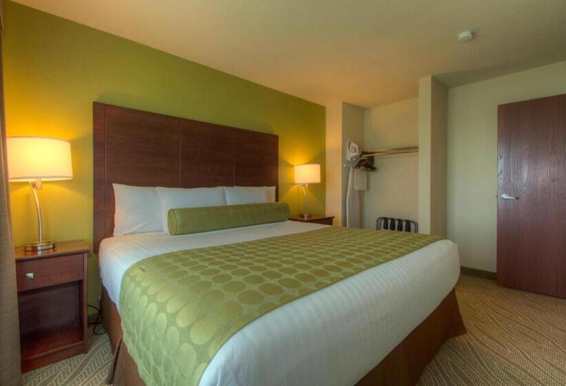 Люкс Адаптированный для Инвалидов, Cobblestone Inn & Suites   Holyoke