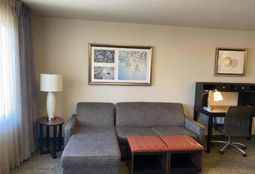 Студия Стандарт, Staybridge Suites Midvale, An Ihg