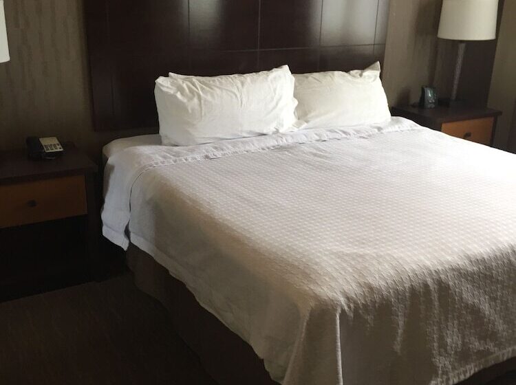 스위트, Homewood Suites By Hilton Durango, Co