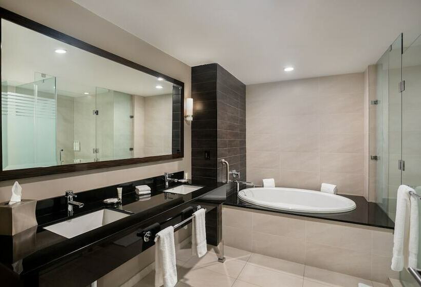 Люкс Вид на Город, Marriott Panama Hotel   Albrook
