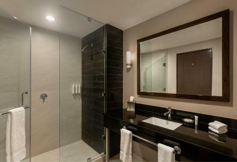 Стандартный Номер Кровать Кинг, Marriott Panama Hotel   Albrook
