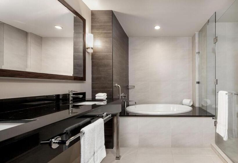 Люкс Вид на Город, Marriott Panama Hotel   Albrook