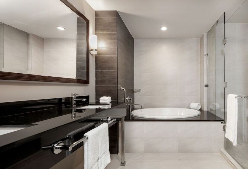 Люкс Вид на Город, Marriott Panama Hotel   Albrook