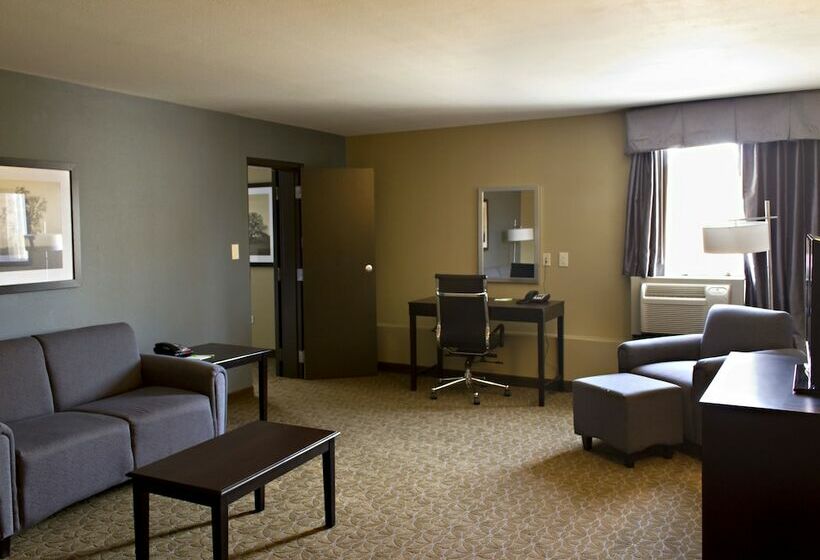 Suíte Executivo, Wyndham Garden Texarkana