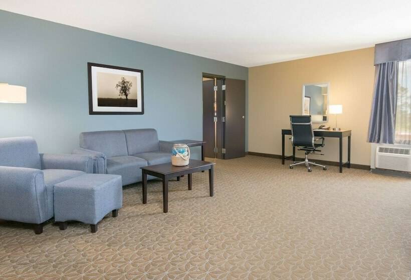 Президентский Люкс, Wyndham Garden Texarkana