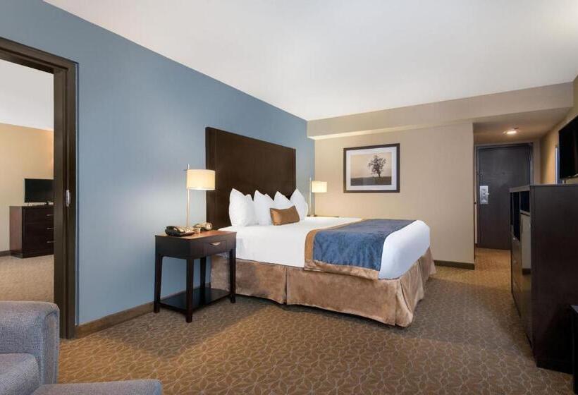 Люкс Кровать Кинг, Wyndham Garden Texarkana