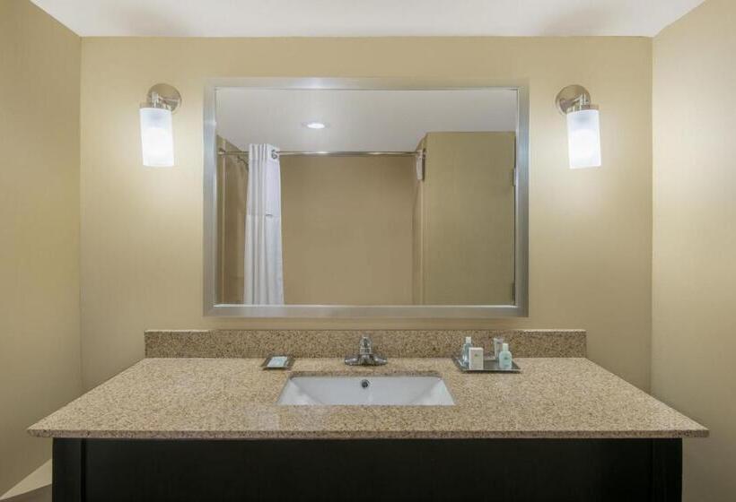 Suíte Executivo, Wyndham Garden Texarkana