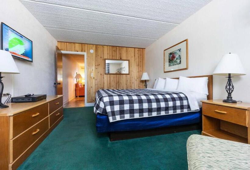 스탠다드 룸 킹사이즈 침대, Steinhatchee River Inn And Marina