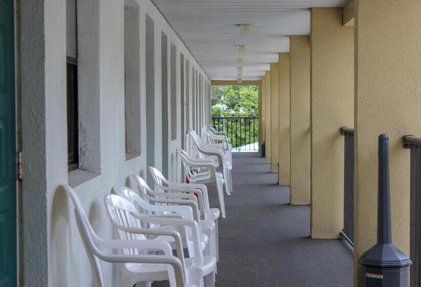 스탠다드 스튜디오, Steinhatchee River Inn And Marina