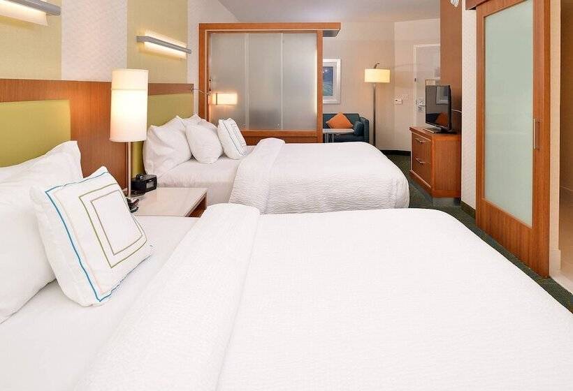 스탠다드 스튜디오, Springhill Suites By Marriott Voorhees Mt. Laurel/cherry Hill