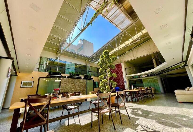 اتاق استاندارد با سرویس بهداشتی مشترک, Downtown Treasure Place