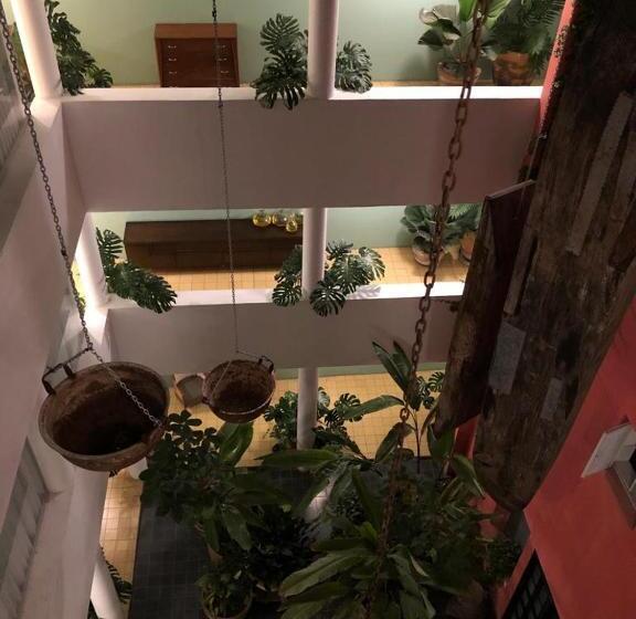 Apartamento Superior 1 Dormitório, Meson San Felipe