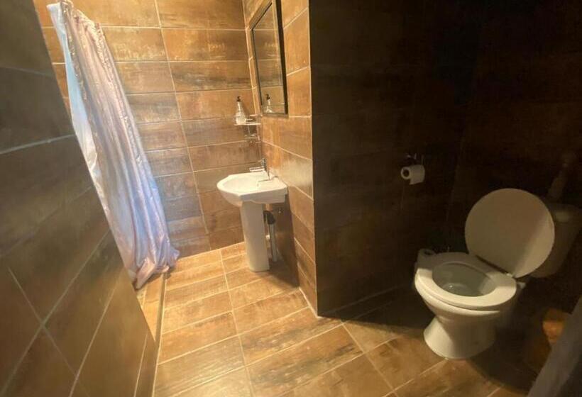 Номер Классика Кровать Кинг, Aloe Klerksdorp