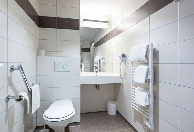 Номер Стандарт Двуспальная Кровать, Greet Hotel Colmar