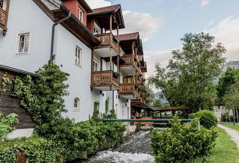 اتاق اکونومی, Wohlfühlhotel Goiserer Mühle