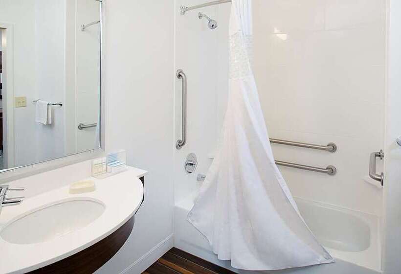 Standard Stúdiószoba Franciaággyal King Size, Embassy Suites By Hilton Knoxville West
