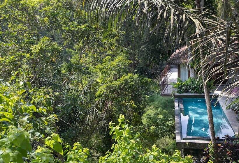 Вилла с 1 спальней и бассейном, Ayung Resort Ubud