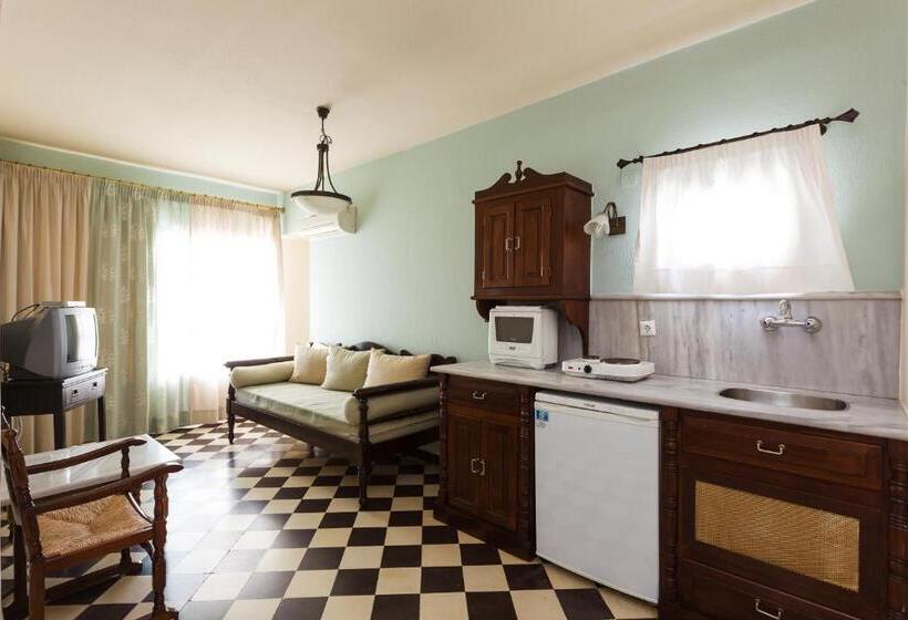 침실 1개 바다 전망 아파트, Palazzo Arhontiko Apartments