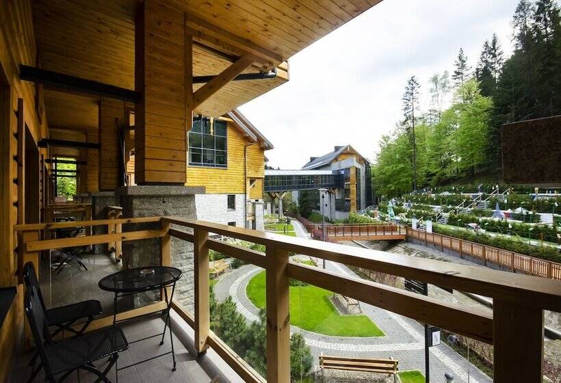 Полулюкс, Czarny Potok Resort Spa & Conference