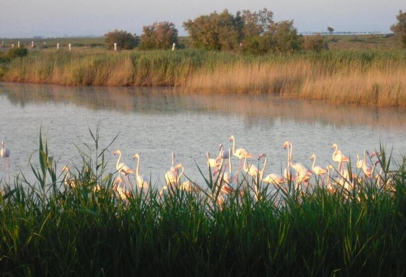 Quarto Estandar Vista Lago, Chambre Les Flamants, Vue Sur Les étangs, Les Oiseaux, Les Flamants, Petit Déjeuner Compris