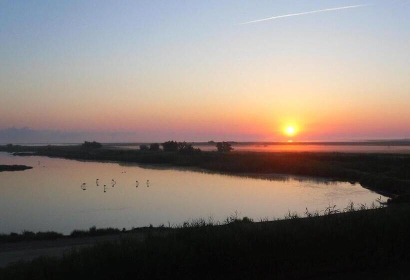 Quarto Estandar Vista Lago, Chambre Les Flamants, Vue Sur Les étangs, Les Oiseaux, Les Flamants, Petit Déjeuner Compris