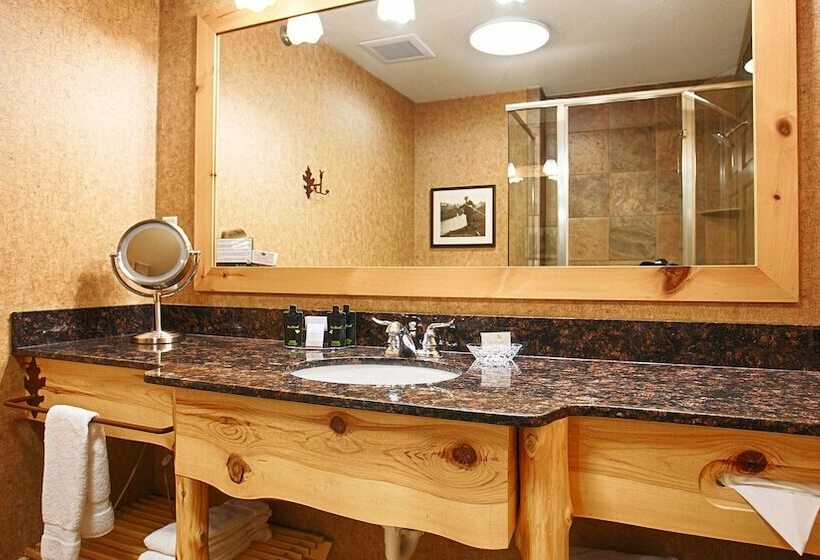 Номер Стандарт Двуспальная Кровать, Best Western Premier The Lodge On Lake Detroit