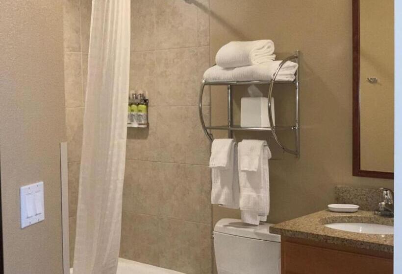 스탠다드 스튜디오, Candlewood Suites Craig Northwest, An Ihg