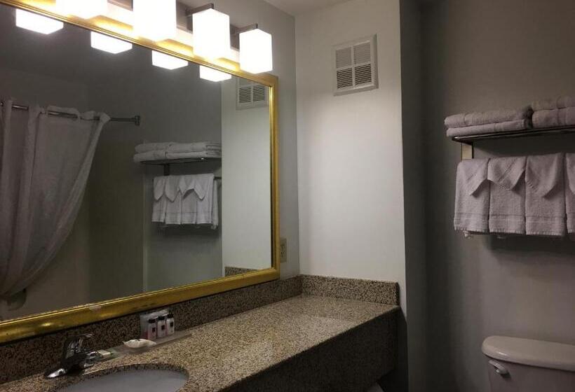 스탠다드 룸 킹사이즈 침대, Country Inn & Suites By Radisson, Camp Springs Andrews Air Force Base , Md