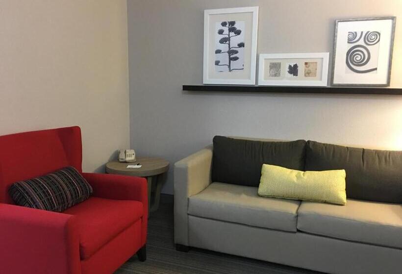 스위트 킹사이즈 침대, Country Inn & Suites By Radisson, Camp Springs Andrews Air Force Base , Md