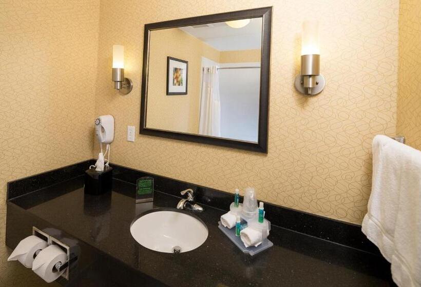 סוויטה, Holiday Inn Express And Suites Detroit North Troy, An Ihg