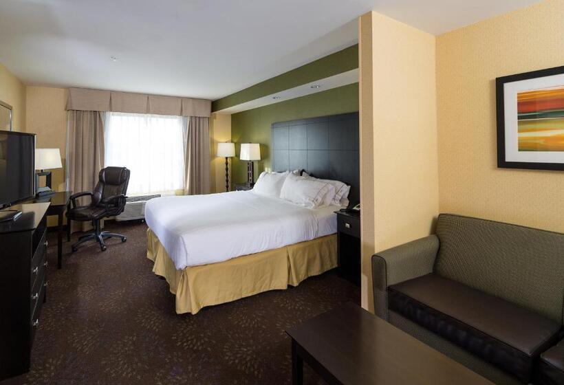 חדר סטנדרט מותאם לאדם עם מוגבלויות, Holiday Inn Express And Suites Detroit North Troy, An Ihg