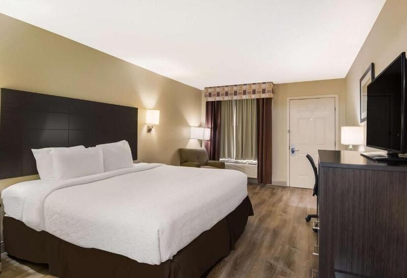 带大床的标准间, Surestay Plus Hotel By Best Western Jackson