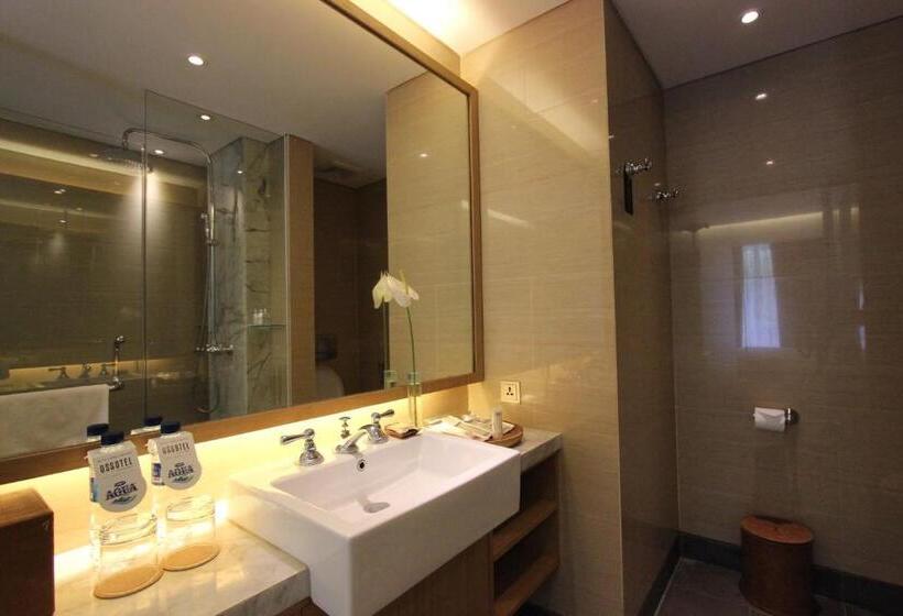Люкс, Ossotel Legian