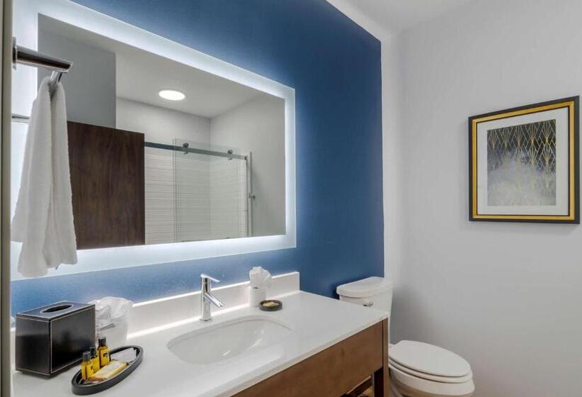 Номер Стандарт, Best Western Plus St. Louis Airport
