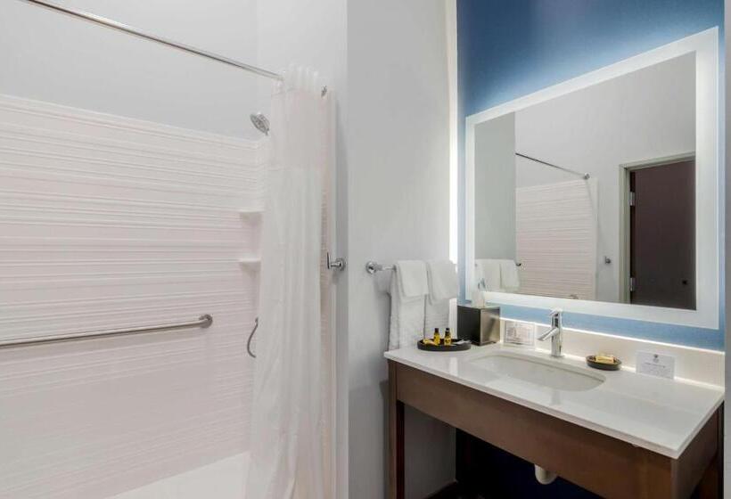 Стандартный Номер Кровать Кинг, Best Western Plus St. Louis Airport
